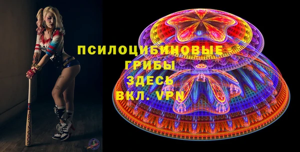 марки lsd Гусиноозёрск